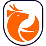 Primera División logo
